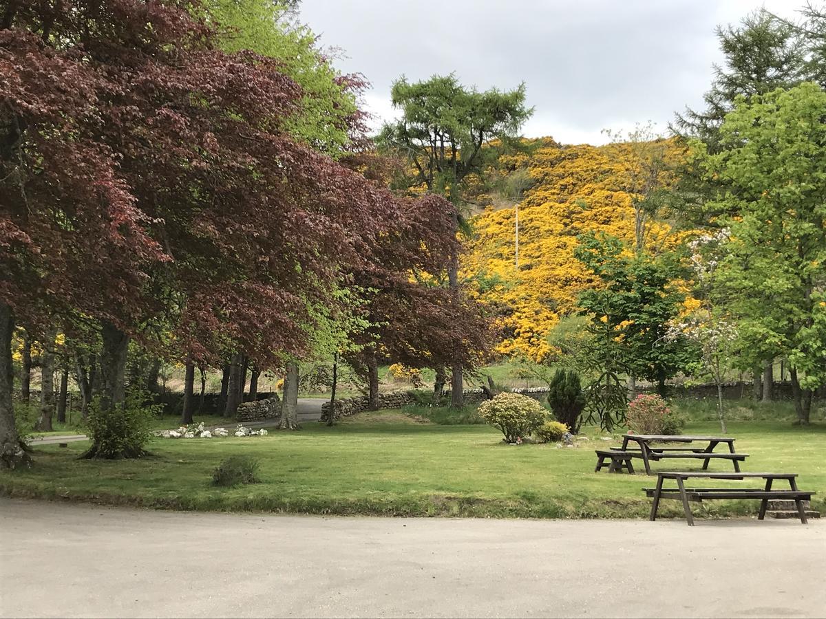 Borgie Lodge Hotel エクステリア 写真